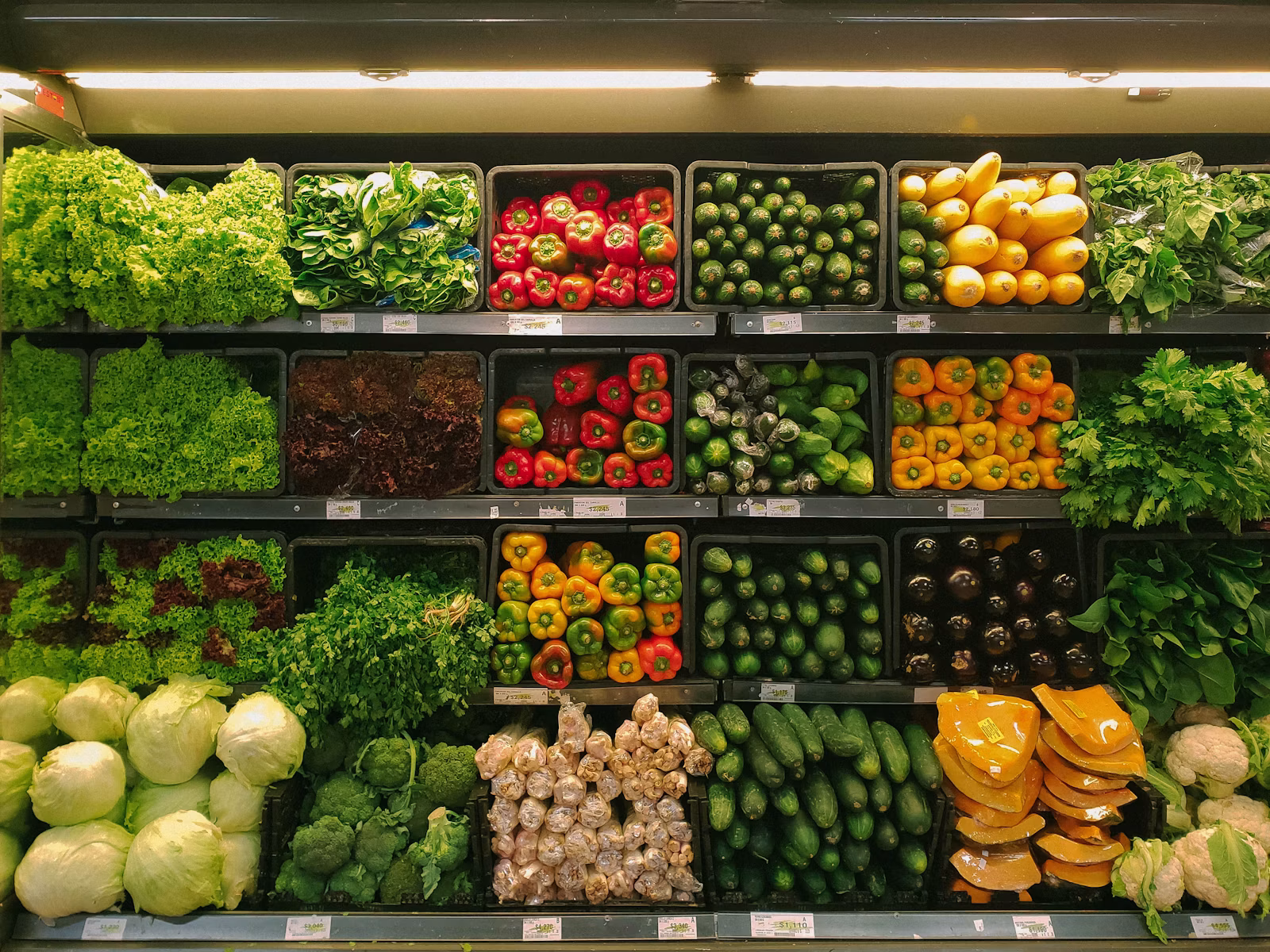 Mercado Martins